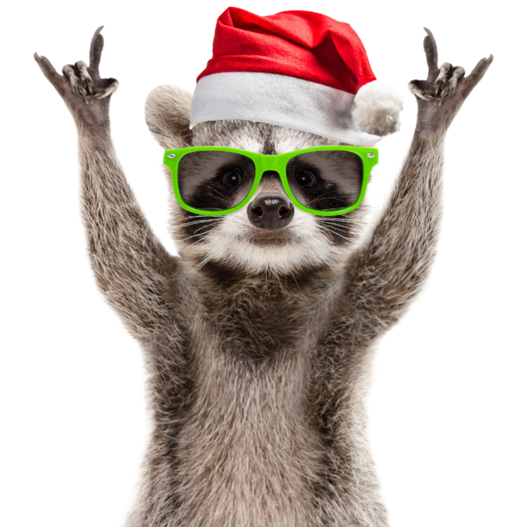 No Crazy Rent Increases